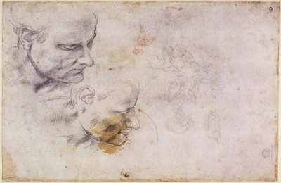 Sketch of a male head, in two positions by Michelangelo Buonarroti